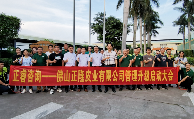 助力皮革行業(yè)再樹標桿——正隆皮業(yè)全面管理升級項目啟動！