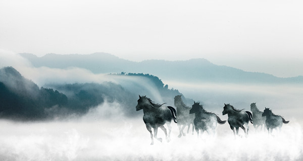 企業(yè)戰(zhàn)略規(guī)劃：為企業(yè)制定全面、長遠(yuǎn)的發(fā)展戰(zhàn)略