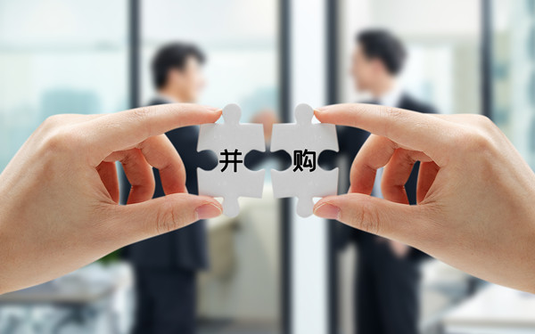 戰(zhàn)略投資與并購：拓展企業(yè)規(guī)模，增強(qiáng)市場競爭力
