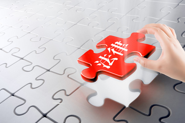 預(yù)算審計(jì)咨詢：指導(dǎo)企業(yè)開展審計(jì)工作，確保預(yù)算合規(guī)
