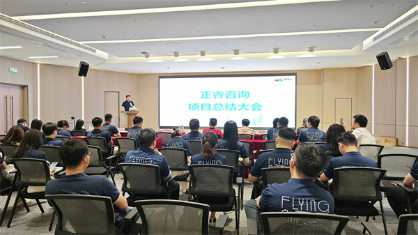 廣東飛翔云計(jì)算有限公司組織設(shè)計(jì)&人力資源管理升級(jí)項(xiàng)目圓滿(mǎn)成功