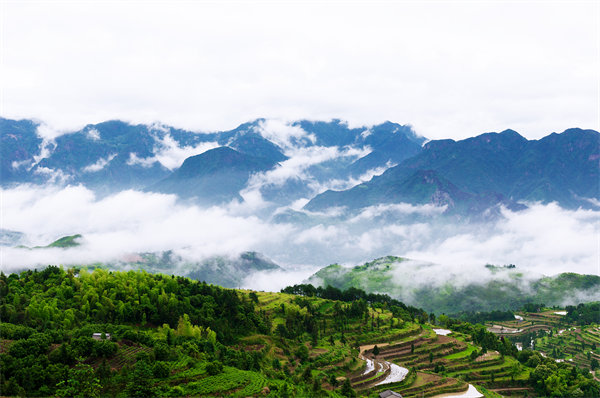 管理咨詢?nèi)绾沃刂萜髽I(yè)戰(zhàn)略規(guī)劃落地？