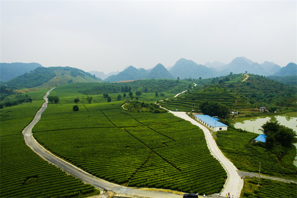 清遠(yuǎn)管理咨詢機構(gòu)的定制化服務(wù)方面包含哪些內(nèi)容？