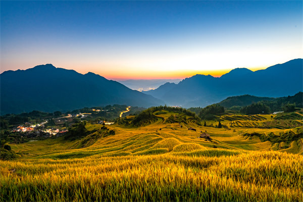 定制化管理咨詢(xún)方案：麗水企業(yè)轉(zhuǎn)型升級(jí)的鑰匙？