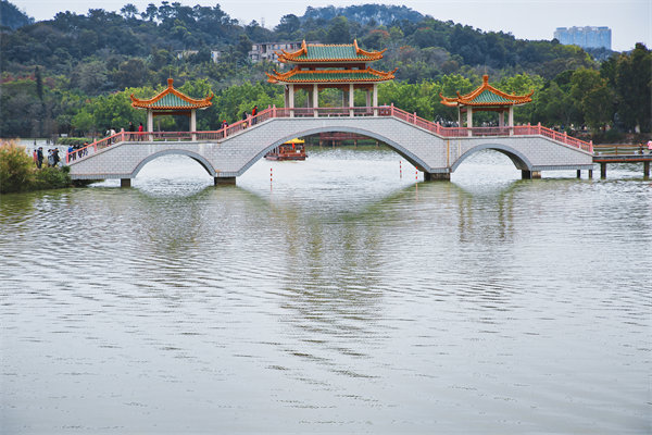 肇慶戰(zhàn)略咨詢公司如何為企業(yè)定制長遠(yuǎn)發(fā)展規(guī)劃？