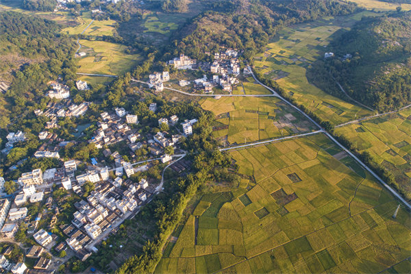 肇慶預(yù)算管理咨詢公司如何為企業(yè)構(gòu)建精細(xì)化的預(yù)算體系？