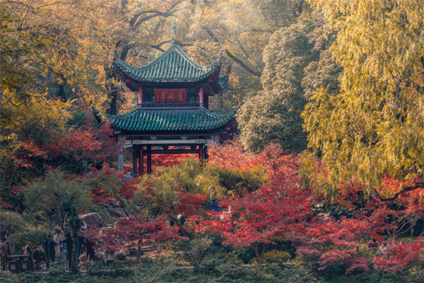 長沙薪酬咨詢公司如何設(shè)計(jì)合理的薪酬結(jié)構(gòu)與體系？