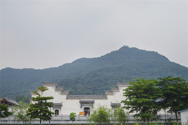 佛山組織規(guī)劃咨詢(xún)公司如何優(yōu)化企業(yè)人才梯隊(duì)建設(shè)？
