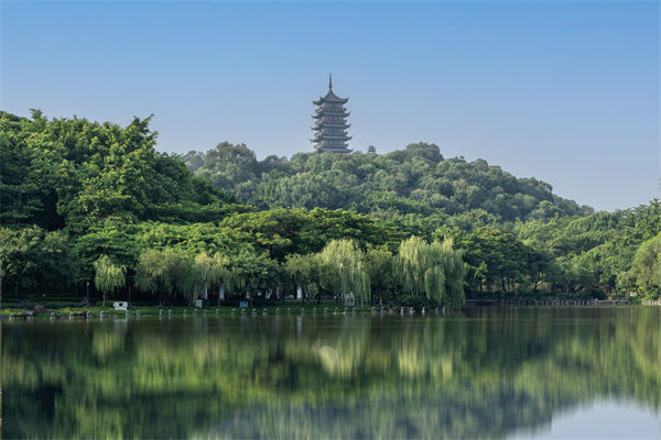 如何評(píng)估佛山集團(tuán)管控咨詢(xún)公司的服務(wù)質(zhì)量和效果？