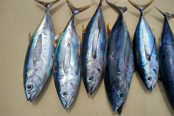 商務(wù)部：將幫助外貿(mào)企業(yè)擴(kuò)寬內(nèi)銷渠道，政策解讀！