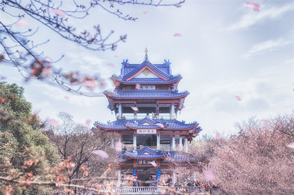 供應(yīng)鏈成本居高不下，無錫供應(yīng)鏈咨詢公司如何精準砍出利潤空間？