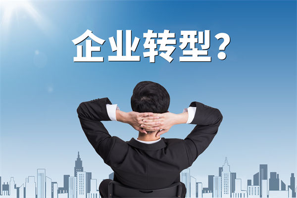 企業(yè)轉(zhuǎn)型無方向，數(shù)智化咨詢公司能否指引明路？